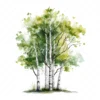 19 High-Quality Birch Tree Clipart - Birch tree digital watercolor JPG instant download for commercial use - Digital download