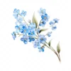 20 High-Quality Forget Me Not Clipart - Forget me not digital watercolor JPG instant download for commercial use - Digital download