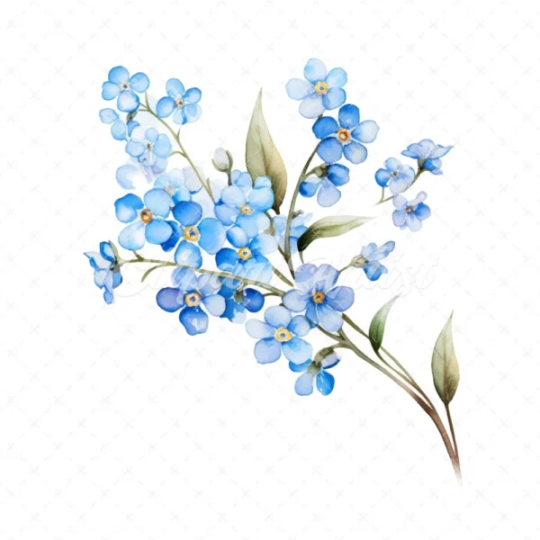 20 High-Quality Forget Me Not Clipart - Forget me not digital watercolor JPG instant download for commercial use - Digital download