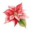 20 High-Quality Poinsettia Clipart - Poinsettia flower digital watercolor JPG instant download for commercial use - Digital download