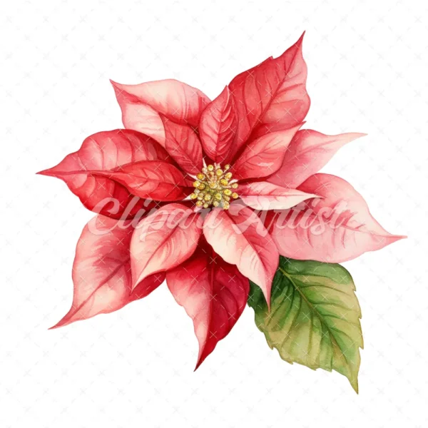 20 High-Quality Poinsettia Clipart - Poinsettia flower digital watercolor JPG instant download for commercial use - Digital download