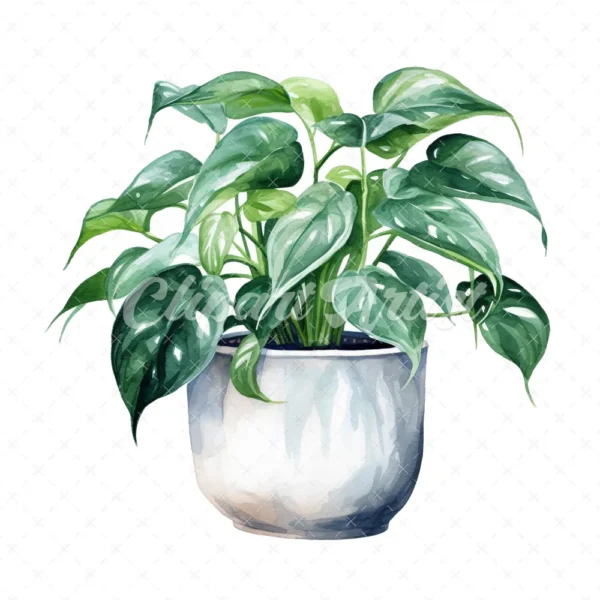 19 High-Quality Pot of Philodendron Clipart - Philodendron digital watercolor JPG instant download for commercial use - Digital download