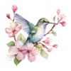 19 High-Quality Floral Hummingbird Clipart - Hummingbird digital watercolor JPG instant download for commercial use - Digital download