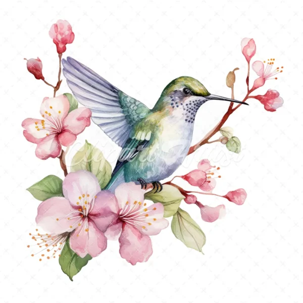 19 High-Quality Floral Hummingbird Clipart - Hummingbird digital watercolor JPG instant download for commercial use - Digital download
