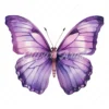 24 High-Quality Purple Butterfly Clipart - Purple butterfly digital watercolor JPG instant download for commercial use - Digital download