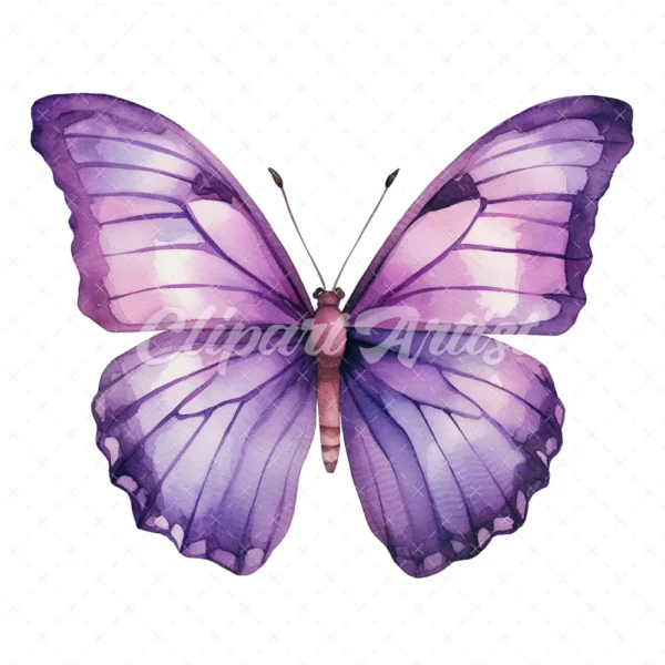 24 High-Quality Purple Butterfly Clipart - Purple butterfly digital watercolor JPG instant download for commercial use - Digital download