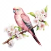 18 High-Quality Pink Bourke Parakeet Clipart - Pink parakeet digital watercolor JPG instant download for commercial use - Digital download