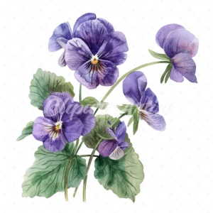 20 High-Quality Violets Clipart - Violets clipart digital watercolor JPG instant download for commercial use - Digital download