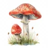 20 High-Quality Clipart - Toadstool digital watercolor JPG instant download for commercial use - Digital download