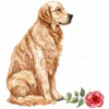 20 High-Quality Golden Retriever Clipart - Golden retriever digital watercolor JPG instant download for commercial use - Digital download