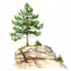 20 High-Quality Pine Trees on Cliff Clipart - Pine trees on cliff watercolor JPG instant download for commercial use - Digital download