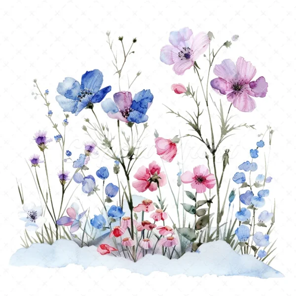 22 High-Quality Winter Wildflowers Clipart - Winter wildflowers watercolor JPG instant download for commercial use - Digital download