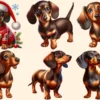 Dachshund PNG Clipart Collection - 28 PNG, Lovable puppy illustrations, Charming dog pet graphics, Commercial use, Digital download