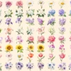 Wedding Flowers Watercolor Clipart Bundle - 545+ transparent PNG, Floral wedding elements, Bride's bouquet, Commercial use, Digital download