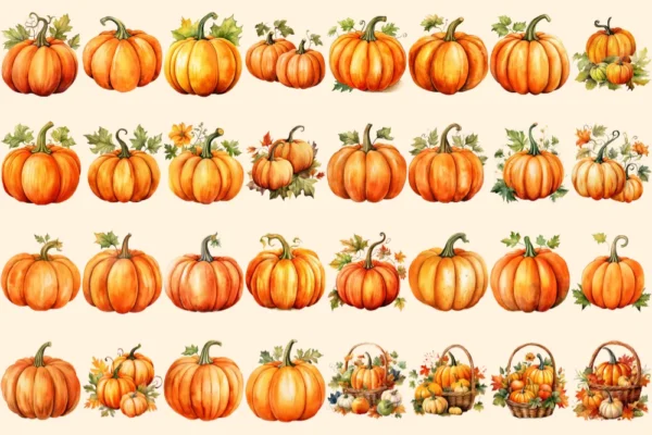 Pumpkin Watercolor Clipart Bundle - 205+ transparent PNG, Autumn pumpkin illustrations, Halloween art png, Commercial use, Digital download