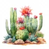 20 High-Quality Desert Cacti Clipart - Desert cacti digital watercolor JPG instant download for commercial use - Digital download