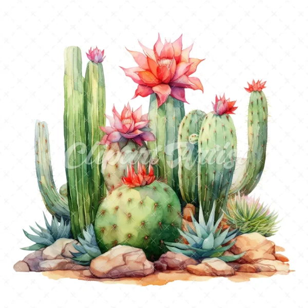 20 High-Quality Desert Cacti Clipart - Desert cacti digital watercolor JPG instant download for commercial use - Digital download