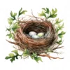 20 High-Quality Bird Nest Clipart - Bird nest digital watercolor JPG instant download for commercial use - Digital download