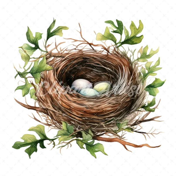 20 High-Quality Bird Nest Clipart - Bird nest digital watercolor JPG instant download for commercial use - Digital download