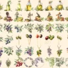 Olives Watercolor Clipart Bundle - 405+ transparent PNG, Mediterranean charm illustrations, Olive images, Commercial use, Digital download