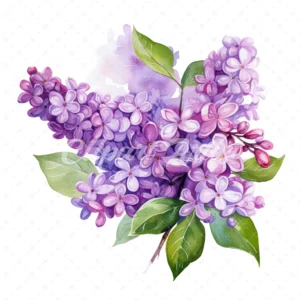 20 High-Quality Lilac Clipart - Lilac flower digital watercolor JPG instant download for commercial use - Digital download