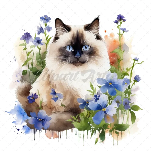 20 High-Quality Ragdoll Cats Clipart - Ragdoll cat digital watercolor JPG instant download for commercial use - Digital download
