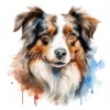 20 High-Quality Australian Shepherd Clipart - Shepherd digital watercolor JPG instant download for commercial use - Digital download