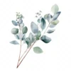 20 High-Quality Eucalyptus Clipart - Eucalyptus digital watercolor JPG instant download for commercial use - Digital download