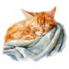 20 High-Quality Cat Sleeping in Shawl Clipart - Sleeping Cat digital watercolor JPG instant download for commercial use - Digital download