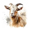 20 High-Quality Kiko Goat Clipart - Kiko goat digital watercolor JPG instant download for commercial use - Digital download