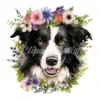 20 High-Quality Floral Border Collie Clipart - Border collie digital watercolor JPG instant download for commercial use - Digital download