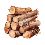18 High-Quality Chopped Wood Clipart - Chopped wood digital watercolor JPG instant download for commercial use - Digital download
