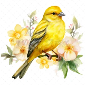 20 High-Quality Canary Clipart - Canary digital watercolor JPG instant download for commercial use - Digital download
