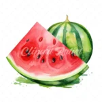 20 High-Quality Watermelon Clipart - Watermelon digital watercolor JPG instant download for commercial use - Digital download