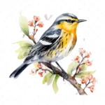 20 High-Quality Blackburnian Warbler Clipart - Warbler digital watercolor JPG instant download for commercial use - Digital download