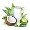 20 High-Quality Coconut Drink Clipart - Coconut drink digital watercolor JPG instant download for commercial use - Digital download