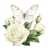 19 High-Quality White Butterfly Rose Clipart -White Butterfly digital watercolor JPG instant download for commercial use - Digital download