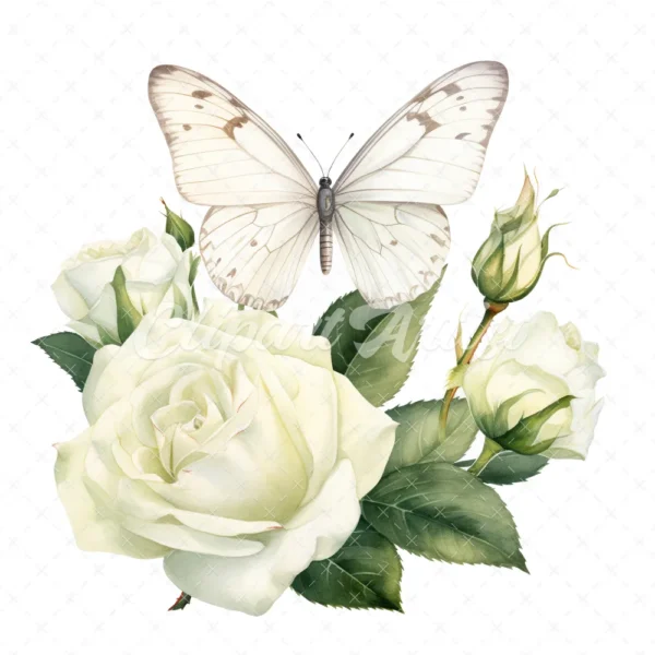 19 High-Quality White Butterfly Rose Clipart -White Butterfly digital watercolor JPG instant download for commercial use - Digital download