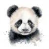 20 High-Quality Baby Panda Portrait Clipart - Panda Portrait digital watercolor JPG instant download or commercial use - Digital download