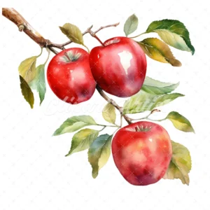 19 High-Quality Apples on Branch Clipart - Apple Barbecue digital watercolor JPG instant download for commercial use - Digital download