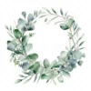 20 High-Quality Eucalyptus Wreath Clipart - Eucalyptus wreath digital watercolor JPG instant download for commercial use - Digital download