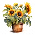 20 High-Quality Sunflower Planters Clipart - Sunflower plant digital watercolor JPG instant download for commercial use - Digital download