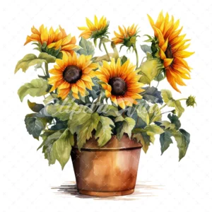 20 High-Quality Sunflower Planters Clipart - Sunflower plant digital watercolor JPG instant download for commercial use - Digital download