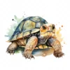 20 High-Quality Cute Tortoise Clipart - Cute tortoise digital watercolor JPG instant download for commercial use - Digital download