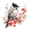 20 High-Quality Floral Whiskered Bulbul Clipart - Bulbul digital watercolor JPG instant download for commercial use - Digital download