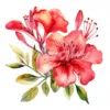 20 High-Quality Alstroemeria Clipart - Alstroemeria flower digital watercolor JPG instant download for commercial use - Digital download