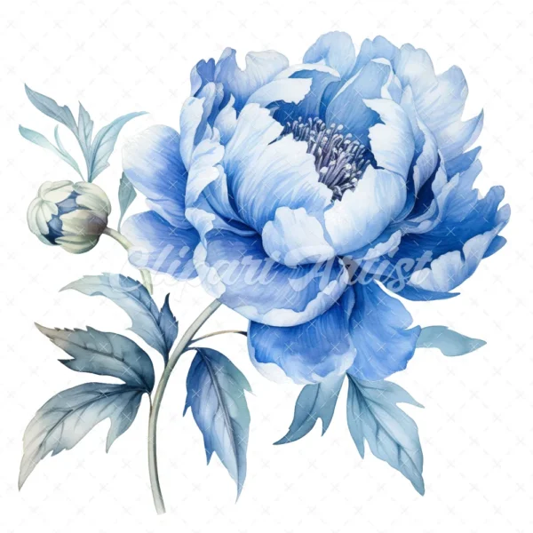 20 High-Quality Blue Peony Clipart - Blue peony flower digital watercolor JPG instant download for commercial use - Digital download