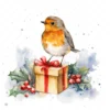 20 High-Quality Robin Bird on Gifts Clipart - Robin bird gifts digital watercolor JPG instant download for commercial use - Digital download