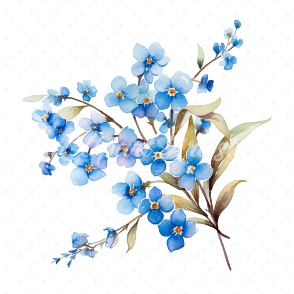 20 High-Quality Forget Me Not Clipart - Forget me not digital watercolor JPG instant download for commercial use - Digital download