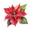 20 High-Quality Poinsettia Clipart - Poinsettia flower digital watercolor JPG instant download for commercial use - Digital download